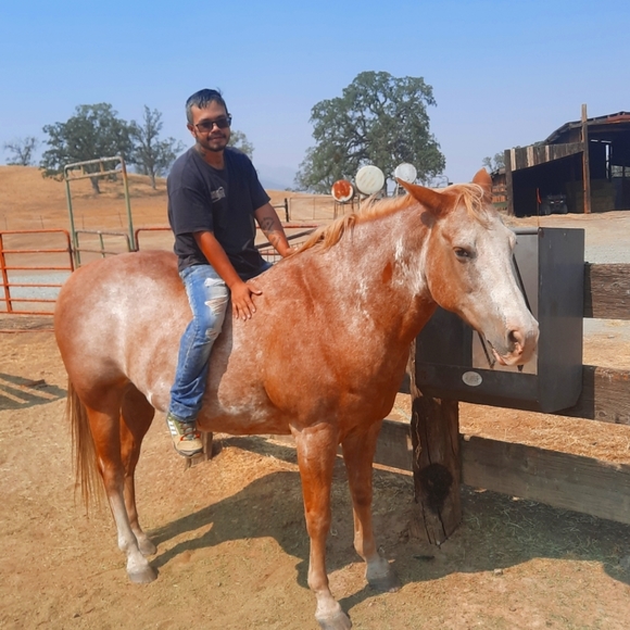 Meet your Posher, Danson - Picture 1 of 1